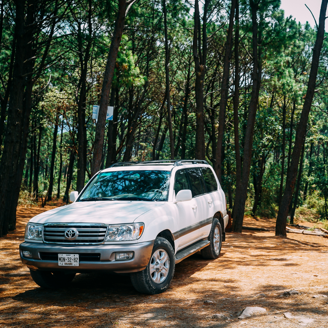 SUV en pleine nature - Road Trip en Australie